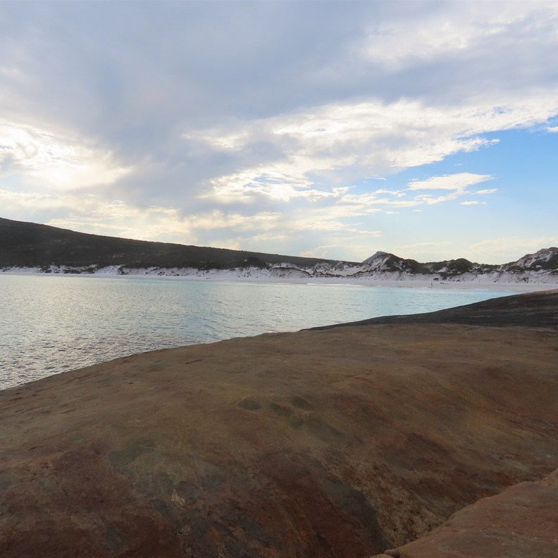 Thistle Cove 6