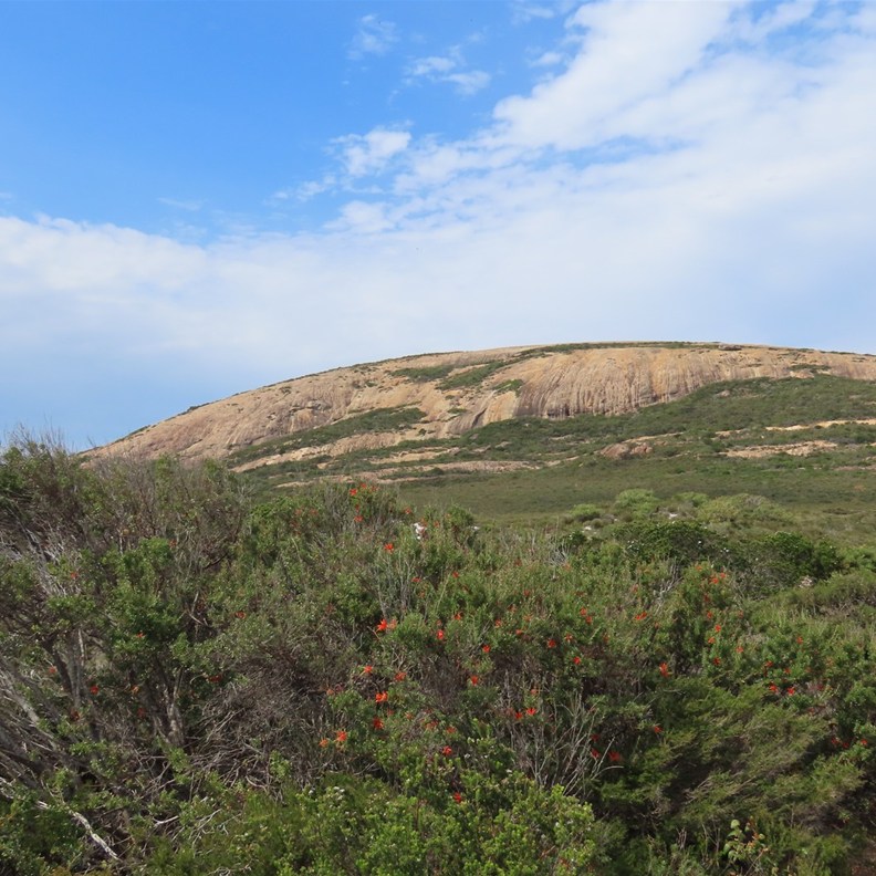 Orleans Bay 5
