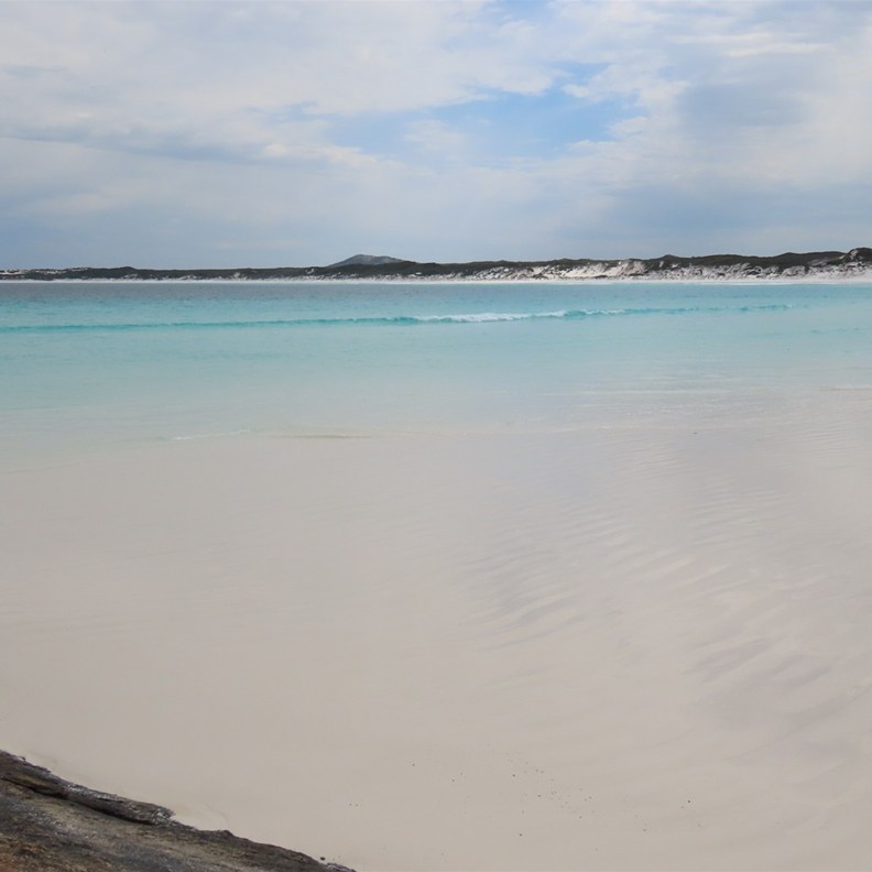 Wharton Beach 3