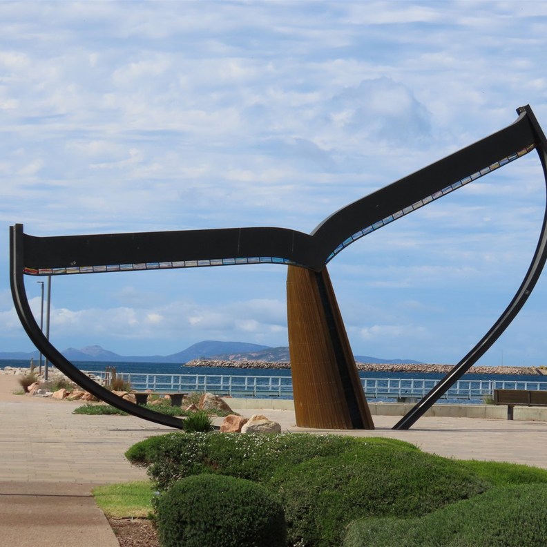 Whale Tail