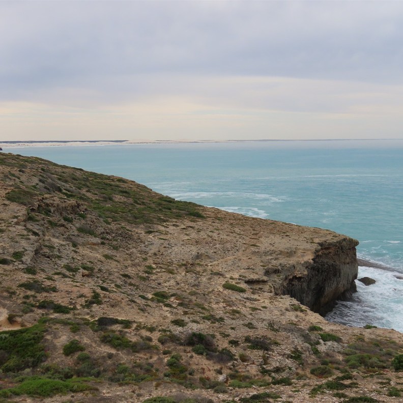 Head of Bight