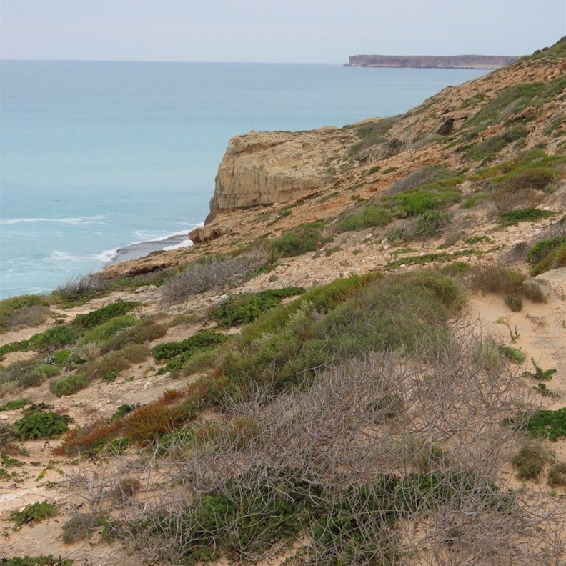 Head of Bight 2
