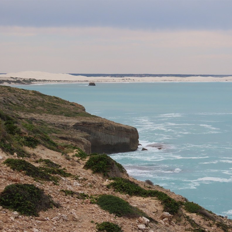 Head of Bight 4