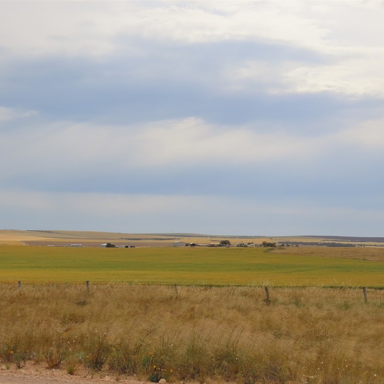 Then we were back in Pastoral/crop Country