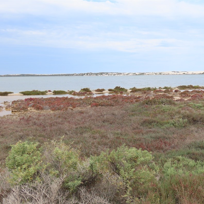Lake MacDonnell