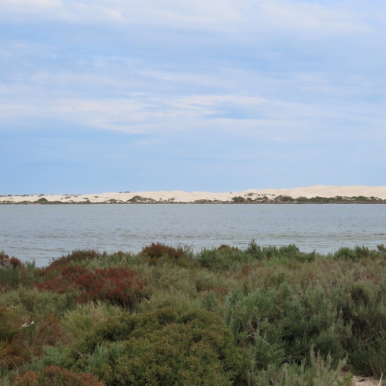Lake MacDonnell 2