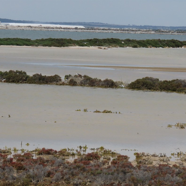 Lake MacDonnell 3