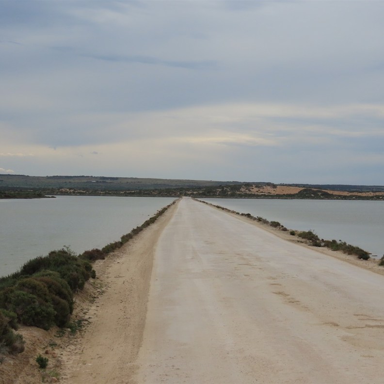 Lake MacDonnell 4
