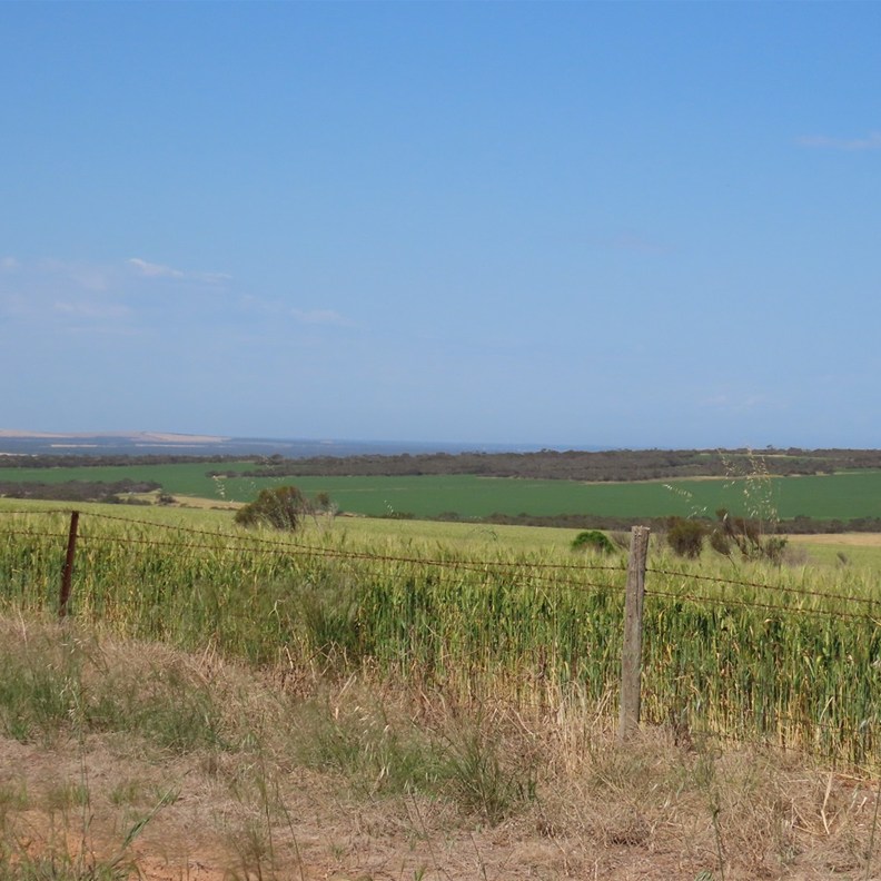 Streaky Bay