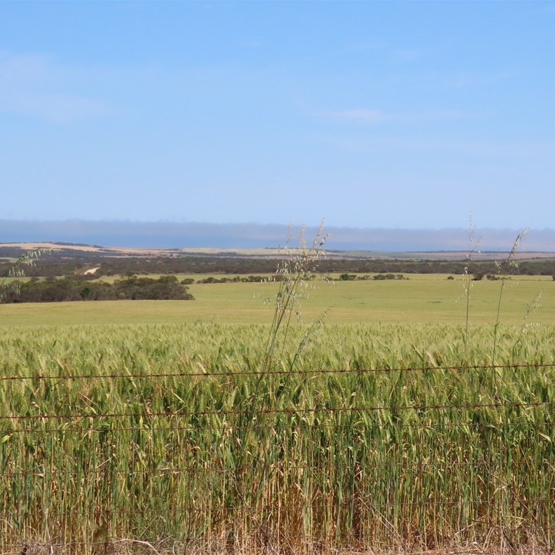 Streaky Bay 4
