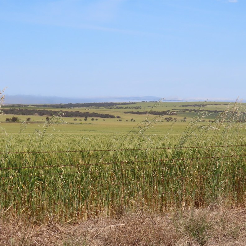 Streaky Bay 5