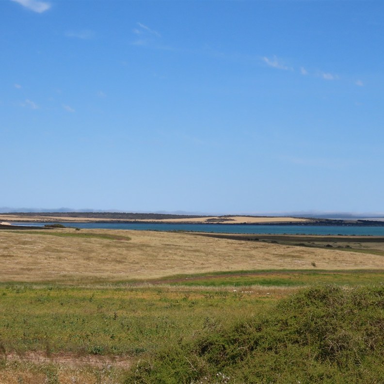 Streaky Bay 8