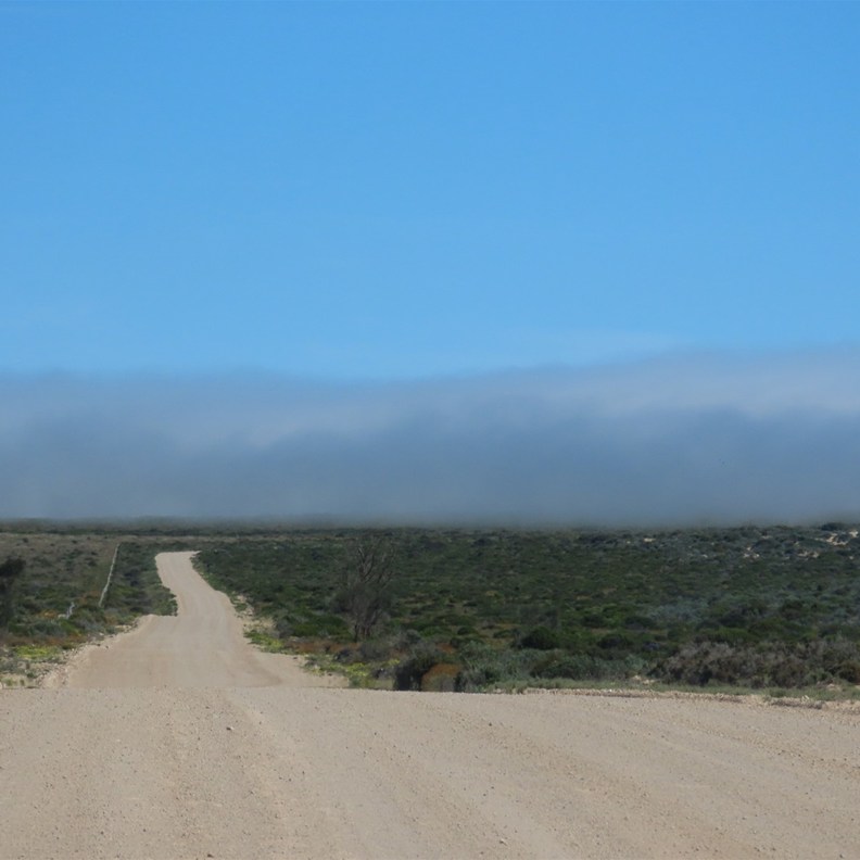 Getting close to the sea mist