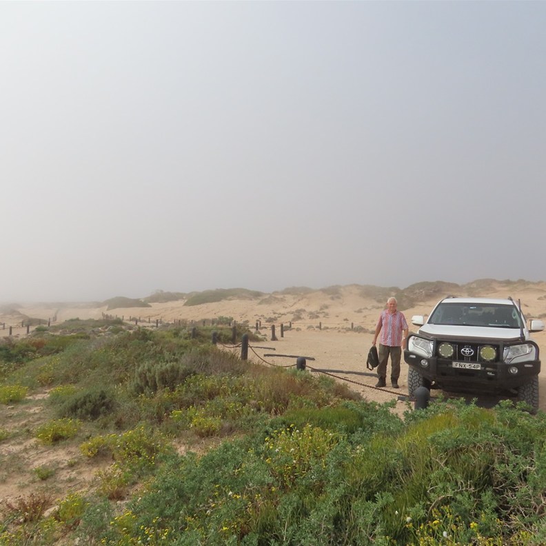 Surrounded by the mist