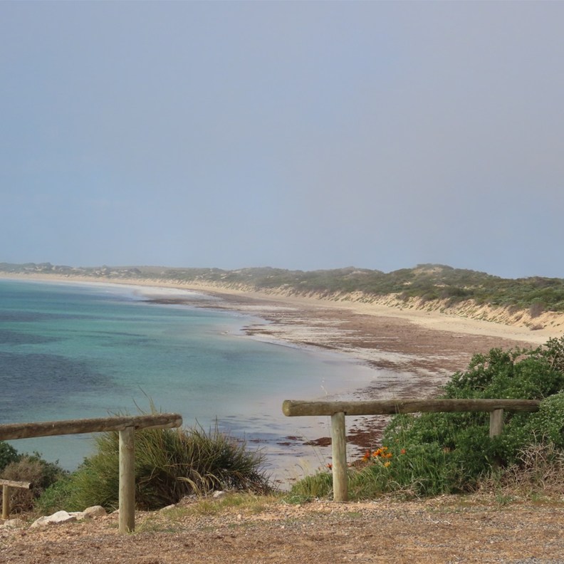 Sceale Bay 2