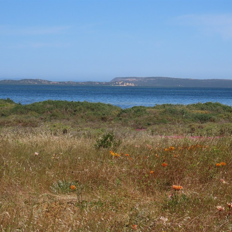 Port Kenny 3