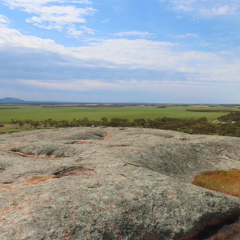 Pildippa Rock 8
