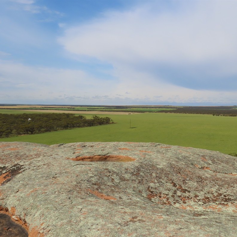 Pildippa Rock 8