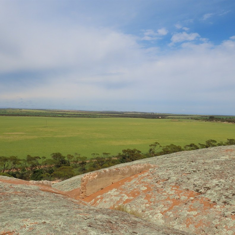 Pildippa Rock 9