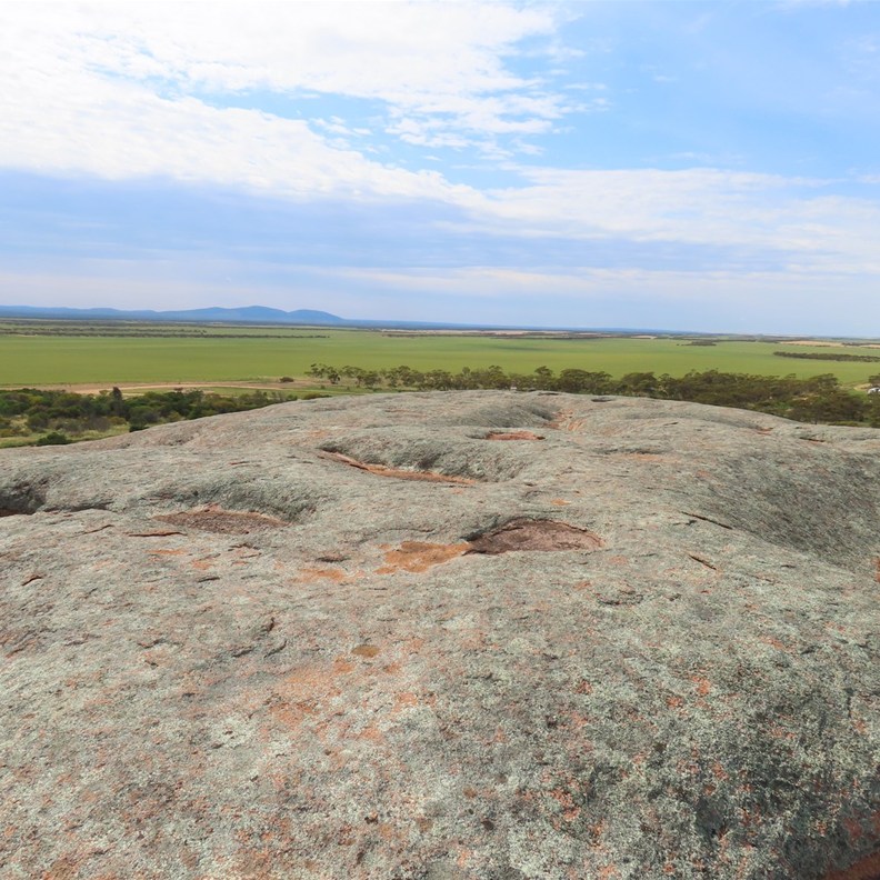 Pildippa Rock 9