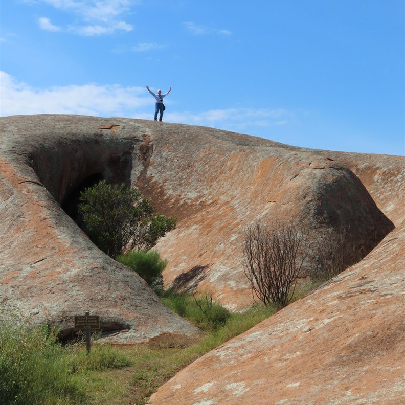 Pildippa Rock 9