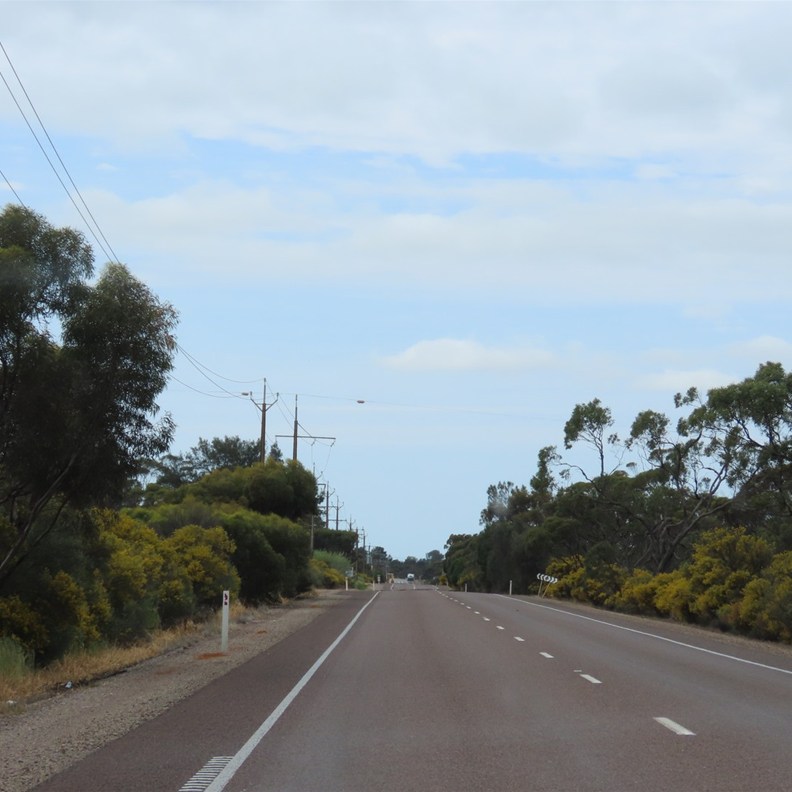 The roads are just full of blossom and flowers