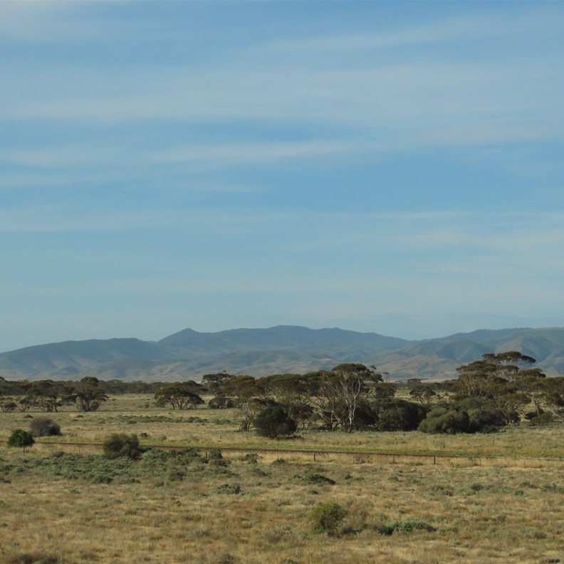 Road to Port Pirie 5