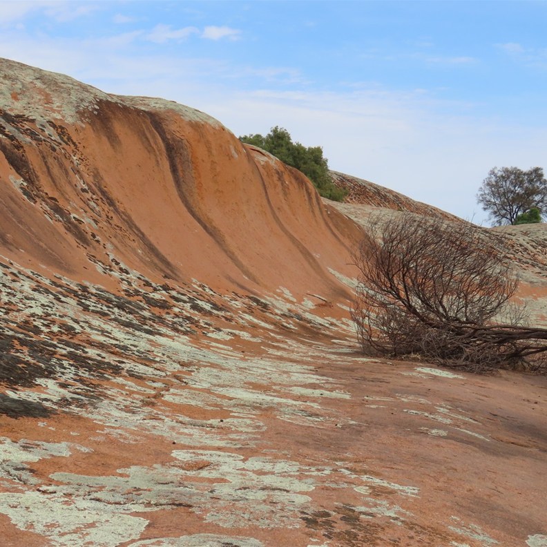 Pildippa Rock 4