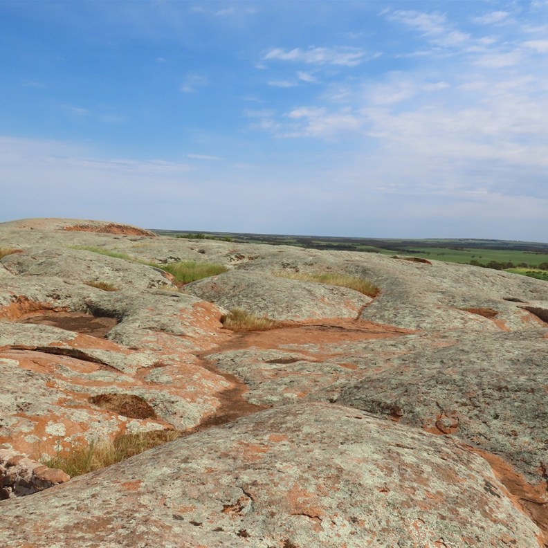 Pildippa Rock 5