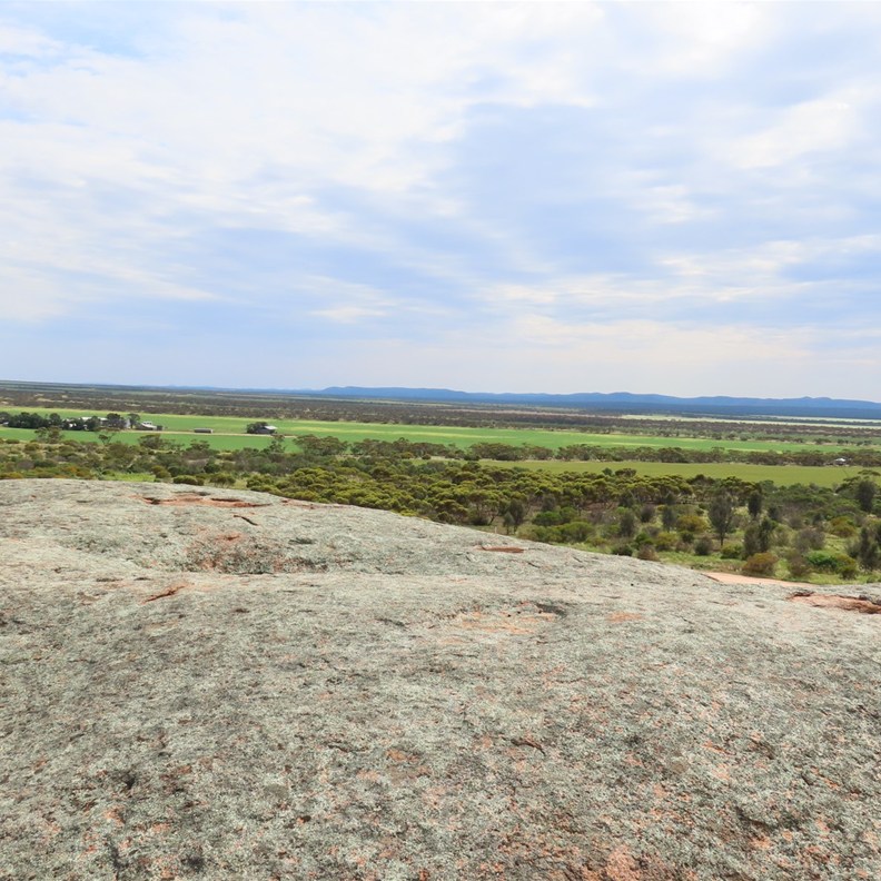 Pildippa Rock 6