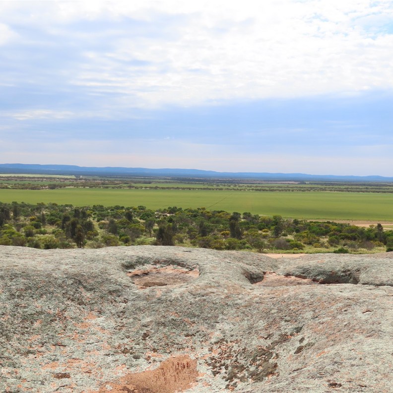 Pildippa Rock 7