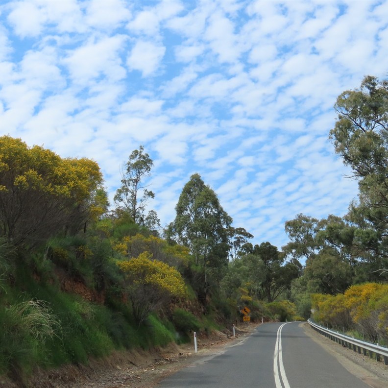 Germein Gorge Road 4