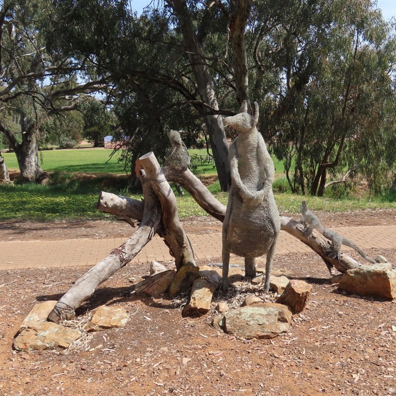 Wirrabara Park 2