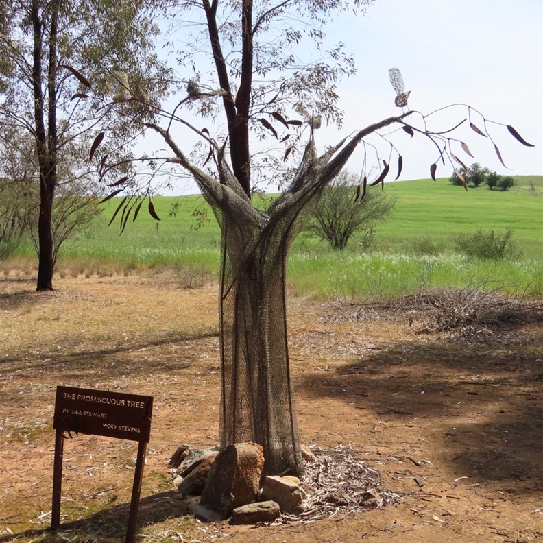 Wirrabara Park 4