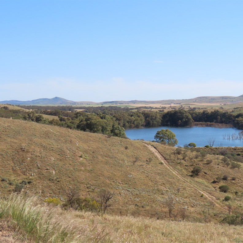 Tank Hill Lookout