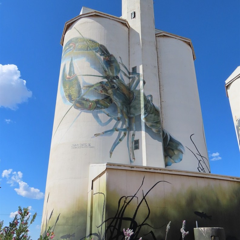 Waikerie Silo Art