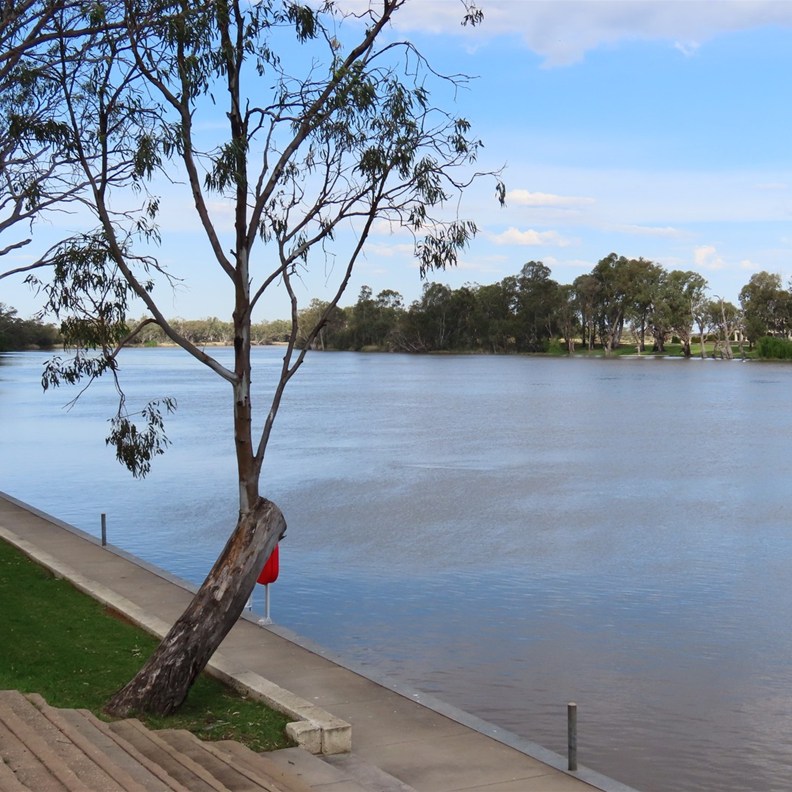 Murray River