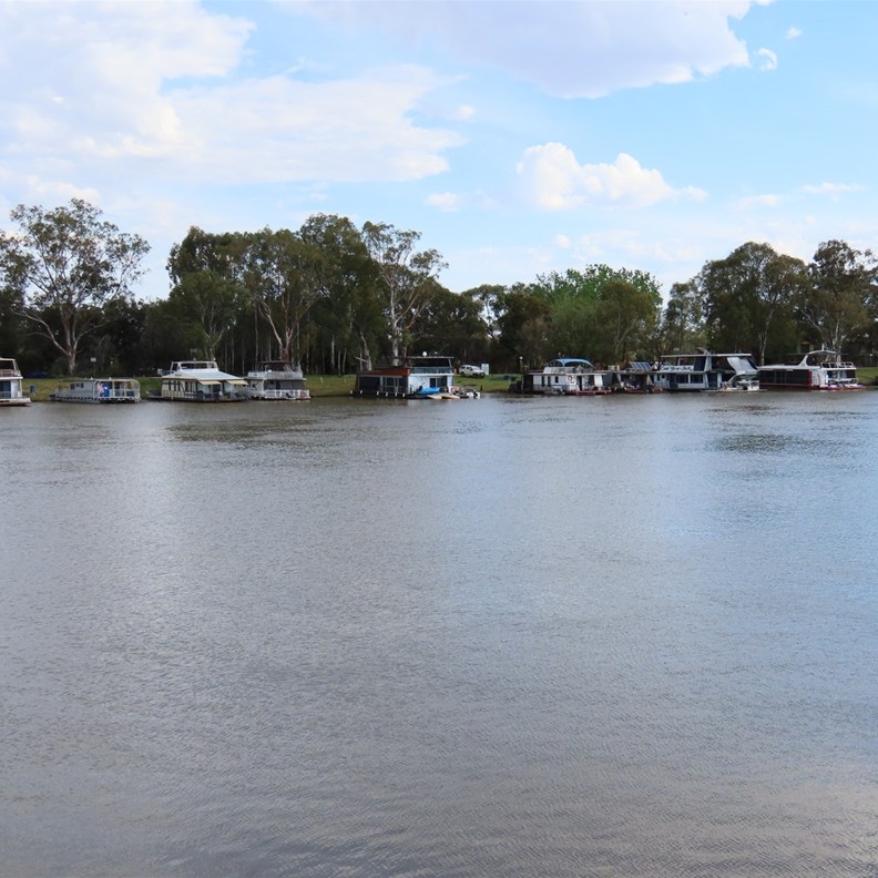 Murray River 2