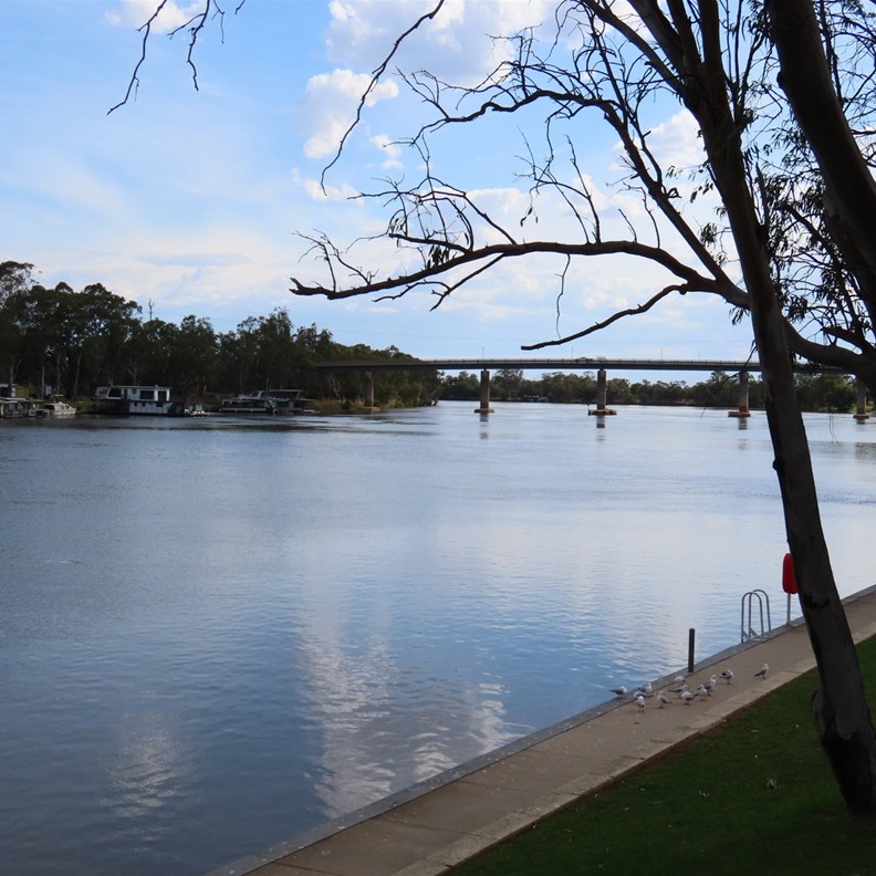 Murray River 3