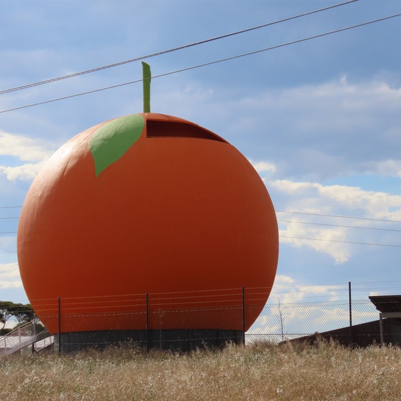 Big Berri Orange