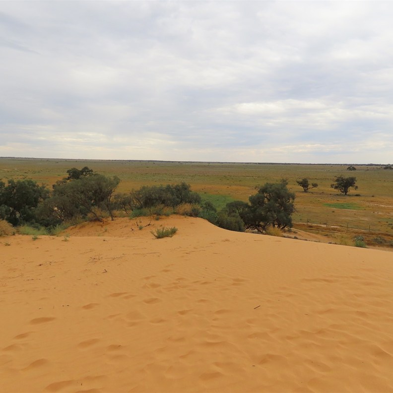 Perry Sandhills 3