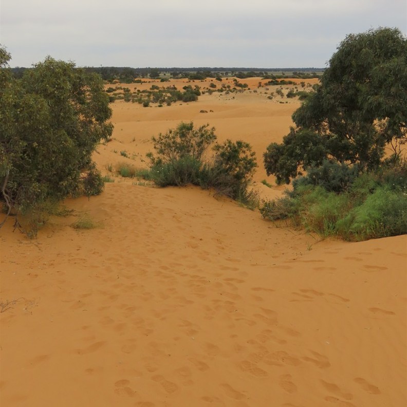 Perry Sandhills 4