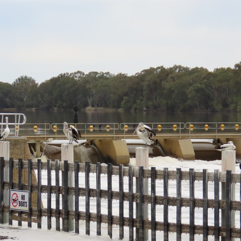 Lock 10 & Weir 2