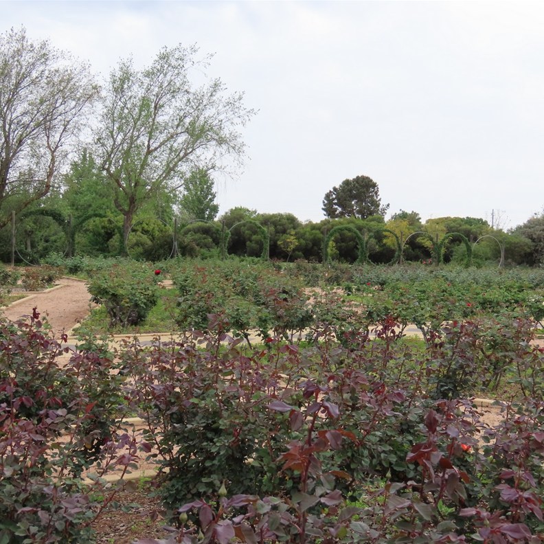 Botanic Gardens