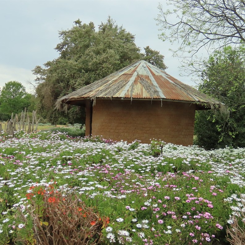 Botanic Gardens 3