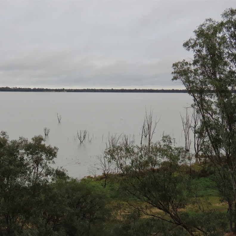 Yanga Lake 3
