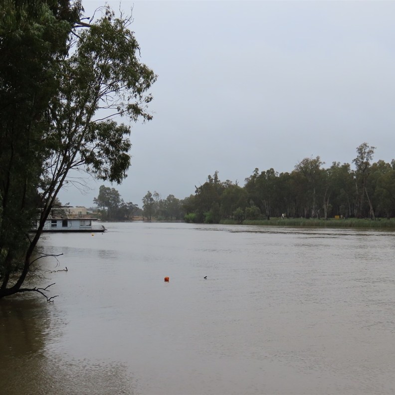 Murray River