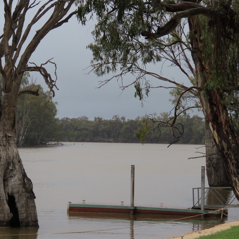 Murray River 2
