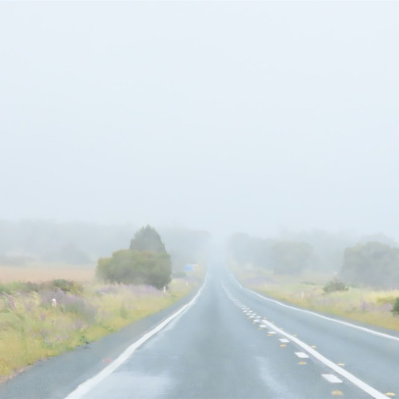 We drove through a lot of fog