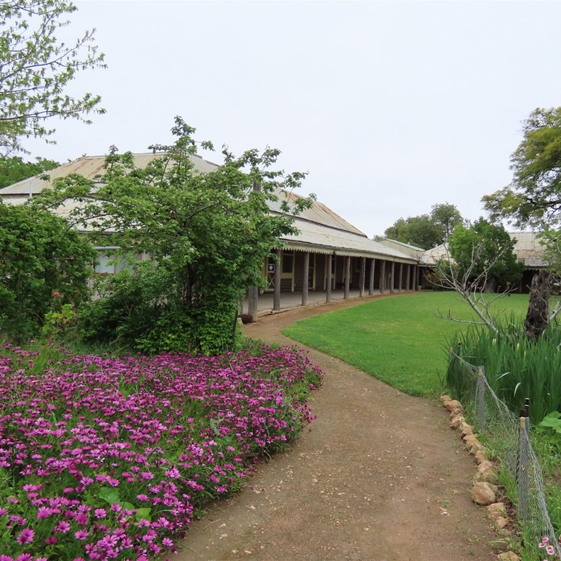 Yanga Homestead